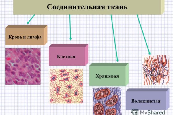 Официальный сайт даркнета