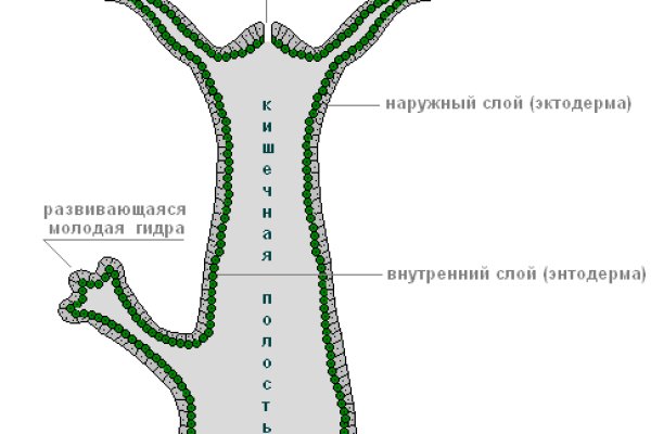 Кракен что можно купить